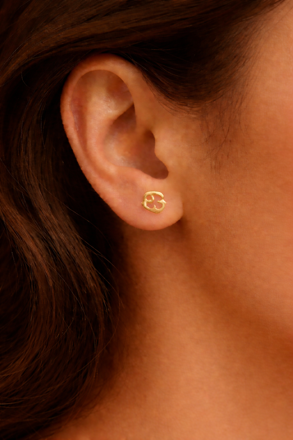 Zodiac Stud Earrings