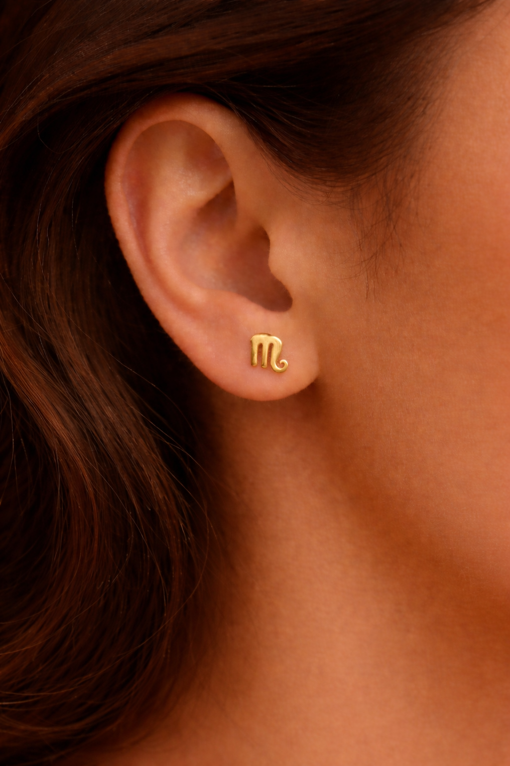 Zodiac Stud Earrings